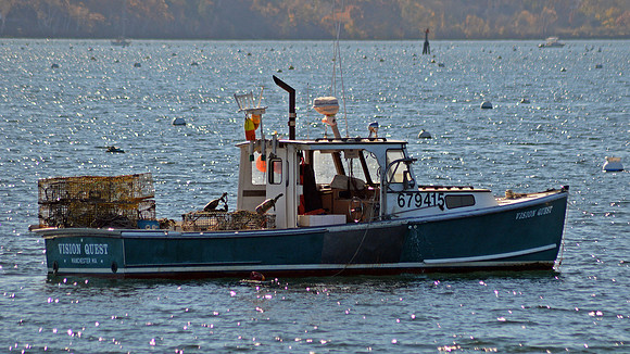DSC_0020