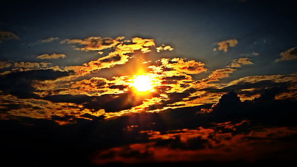 DSCF5591
