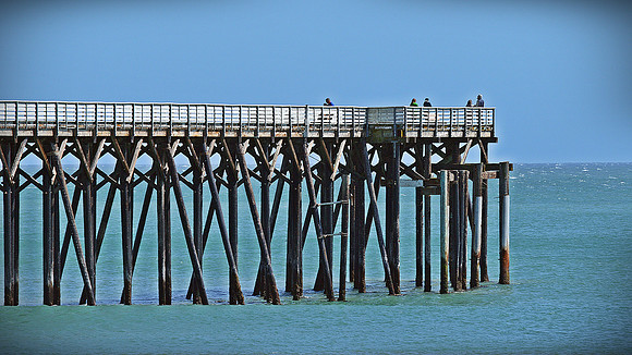 DSC_0155 (2)