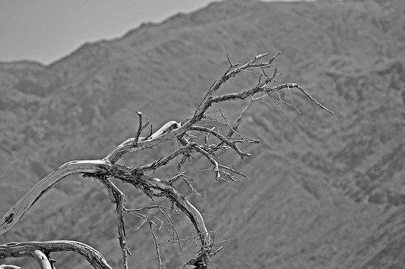 DSC_0083