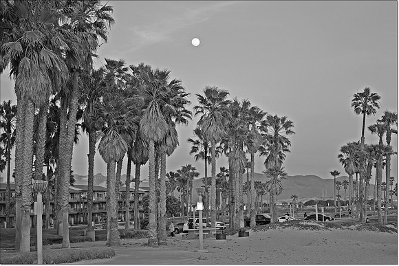 DSC_0064