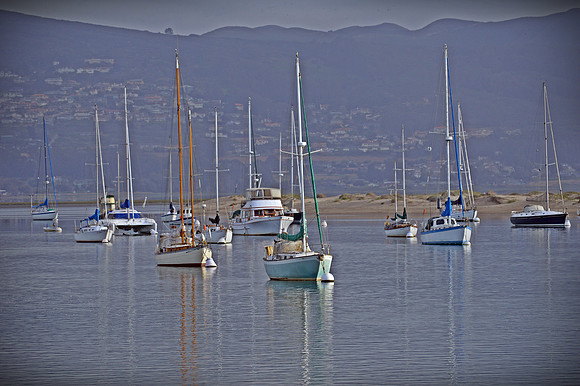 DSC_0109