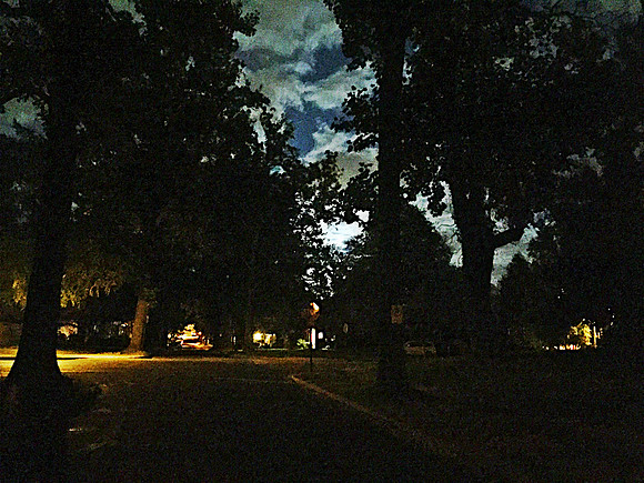 IMG_0251