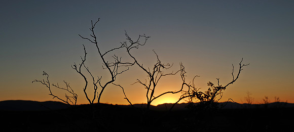DSCF6187