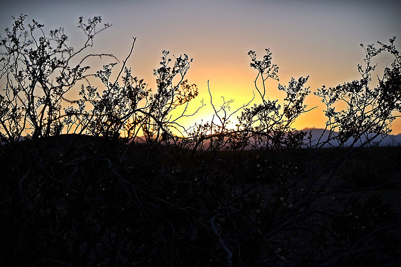 DSCF6178