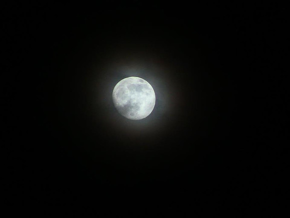 DSC_0201