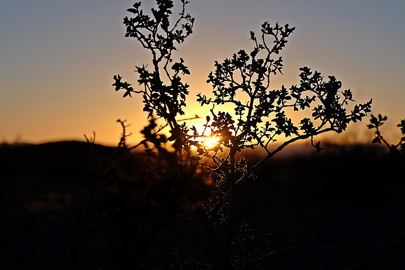 DSCF6171