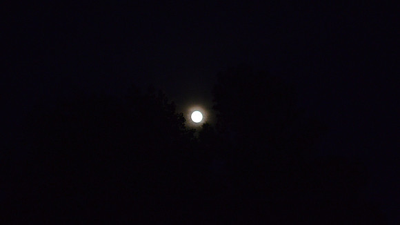 DSC_0016 (3)