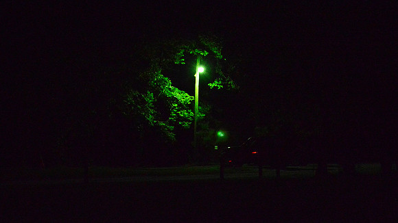 DSC_0031 (3)