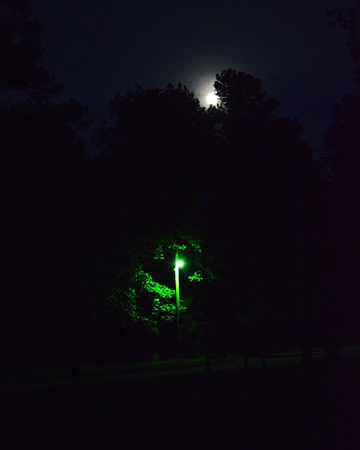 DSC_0034 (3)
