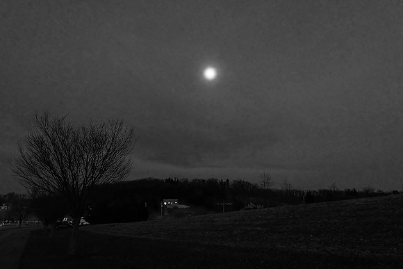 DSCF2164
