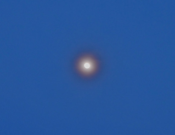 DSCF2163