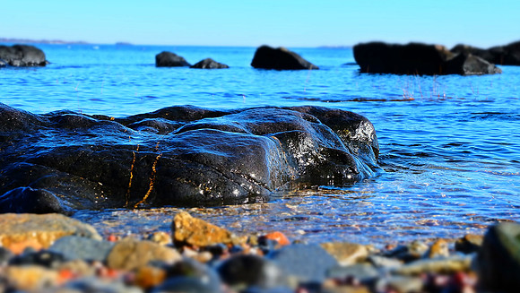 DSCF1303