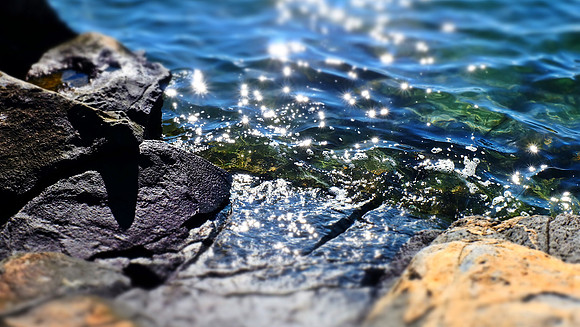 DSCF1288