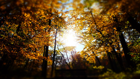 DSCF1121