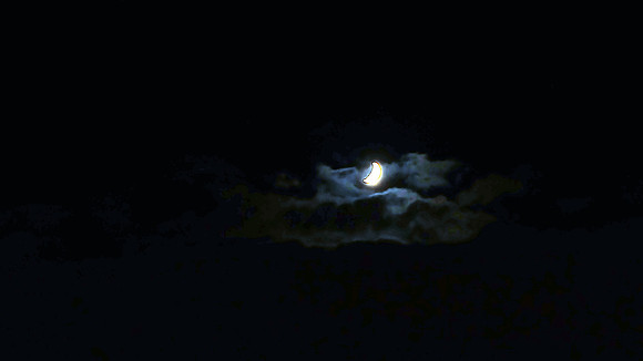 DSCF6774