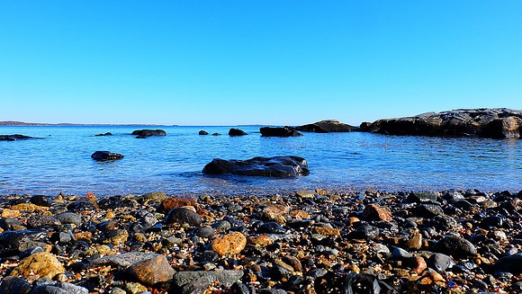 DSCF1296