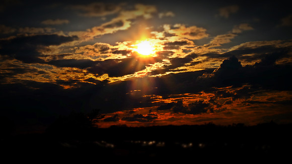 DSCF5590